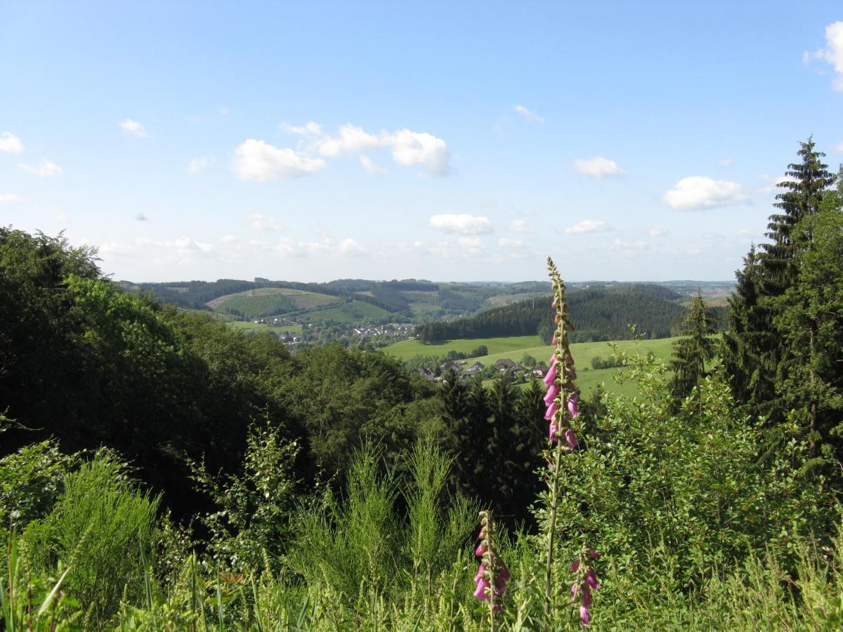 Urlaub Im Naturgarten Apartment Bergneustadt ภายนอก รูปภาพ